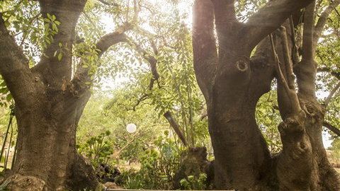 Trawool Cottages & Farmstay - Darwin Holiday 5