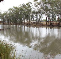 Riverbank Caravan Park - Darwin Holiday