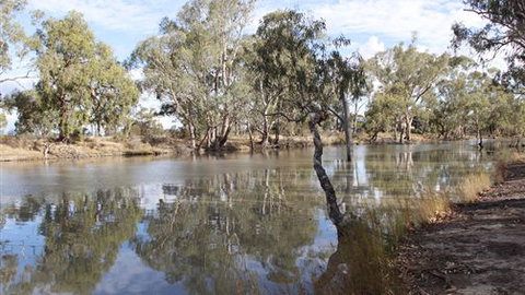 Riverbank Caravan Park - Darwin Holiday 5