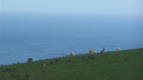 Clifton Beach Lodge - Darwin Holiday 5
