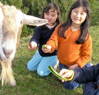 Johanna River Farm and Self Contained Cottages - Darwin Holiday