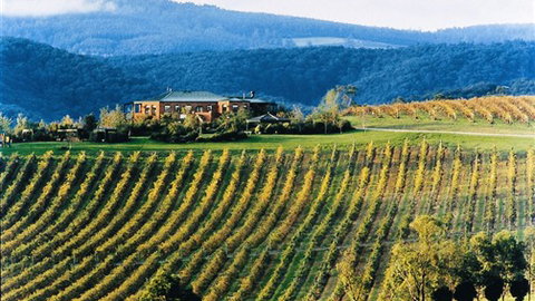 Yering Gorge Cottages - Darwin Holiday 1