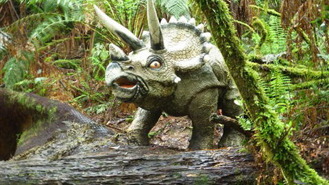 Otway Gate Motel - Darwin Holiday 6