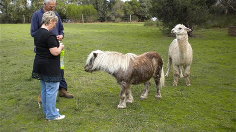 Bells Estate Great Ocean Road Cottages - Darwin Holiday 1