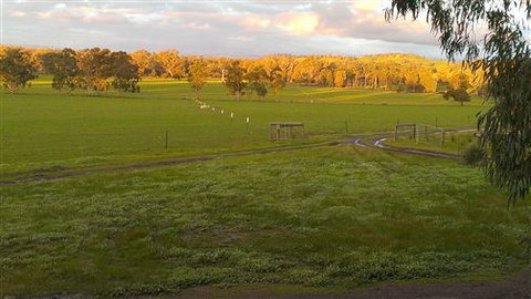 Rotherlea Lodge - Darwin Holiday 4