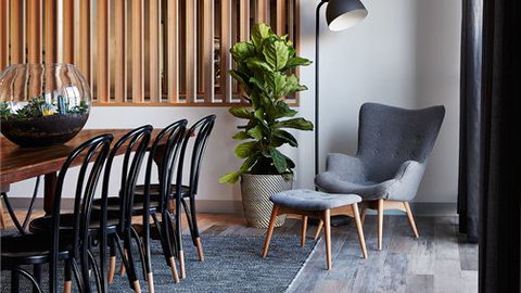 The Schaller Studio - Darwin Holiday 0