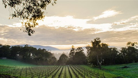 Ainsworth Estate - Darwin Holiday 1