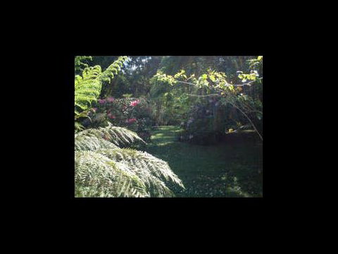 A Country House At Winstanley - Darwin Holiday 4