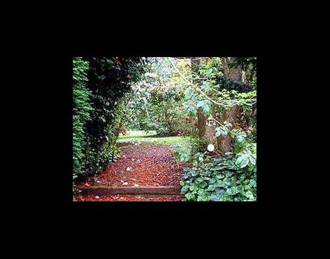 A Country House At Winstanley - Darwin Holiday 2