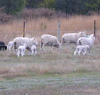 Auberge Woodend - Darwin Holiday