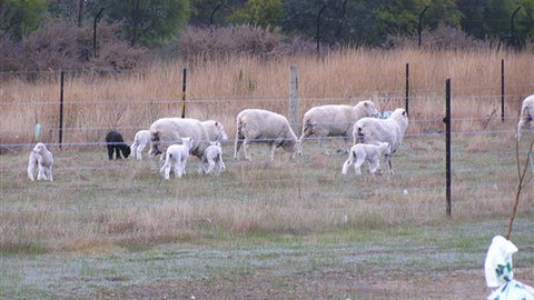 Auberge Woodend - Darwin Holiday 0