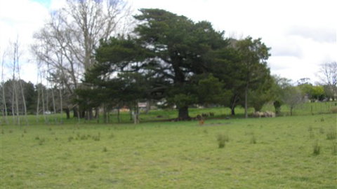 Auberge Woodend - Darwin Holiday 3