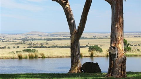 Tuki Trout Farm And Retreat - Darwin Holiday 3