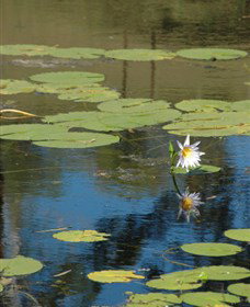Cabins@theView - Darwin Holiday 1