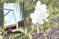 Cleveland Visitor Villas Motel - Darwin Holiday 2