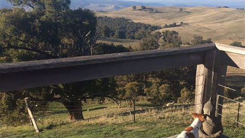 Merrindie - Darwin Holiday 5