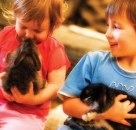 Macka's Farm - Darwin Holiday