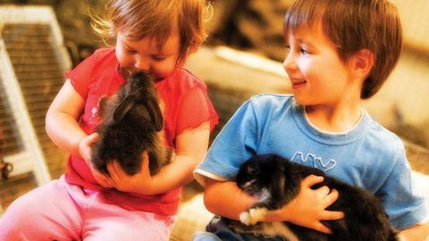 Macka's Farm - Darwin Holiday 0