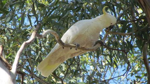 River Gardens Bed And Breakfast Farmstay - Darwin Holiday 1
