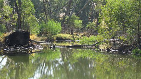 River Gardens Bed And Breakfast Farmstay - Darwin Holiday 2
