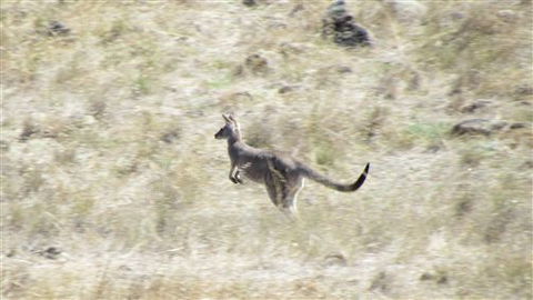 River Gardens Bed And Breakfast Farmstay - Darwin Holiday 7