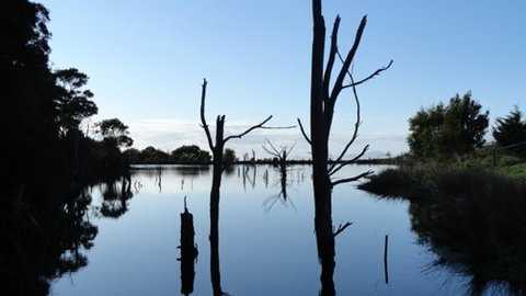 A Fare With Nature @ Prom Road Farm - Darwin Holiday 6