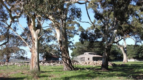 Moranghurk Vineyard & Accommodation - Darwin Holiday 3