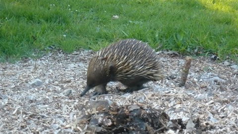 Sabrelyn Park - Darwin Holiday 5