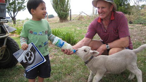 Bellevue Farmstay - Darwin Holiday 1