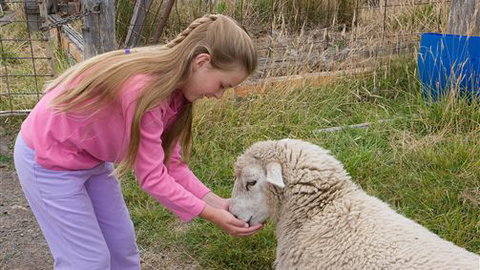 Bellevue Farmstay - Darwin Holiday 3