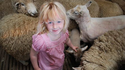 Bellevue Farmstay - Darwin Holiday 4