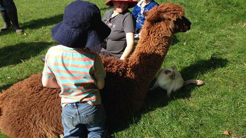 Bellevue Farmstay - Darwin Holiday 5