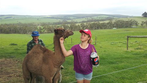 Bellevue Farmstay - Darwin Holiday 8