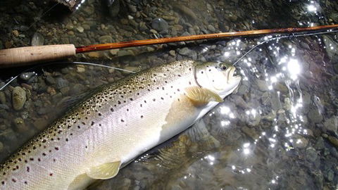 Riverview Lodge - Darwin Holiday 3