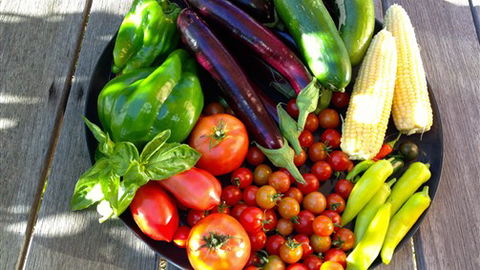 Griffins Hill Retreat - Darwin Holiday 1