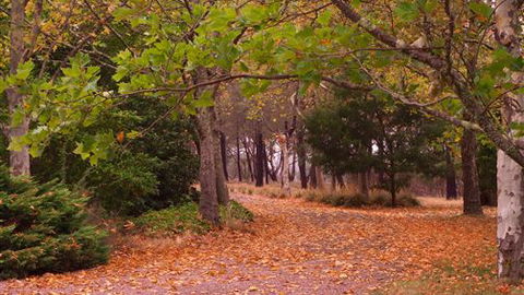 Griffins Hill Retreat - Darwin Holiday 5