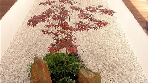 Shizuka Ryokan Japanese Country Spa & Wellness Retreat - Darwin Holiday 6