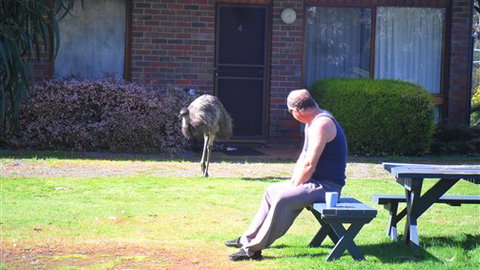 Halls Haven Resort - Darwin Holiday 7