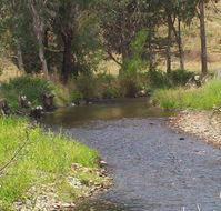 Murphy's Cabin - Darwin Holiday