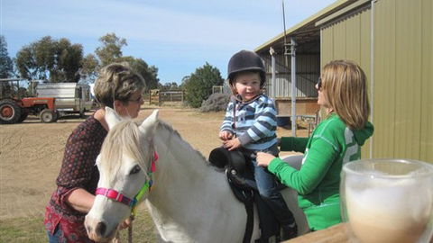 Cabarita Lodge - Darwin Holiday 2