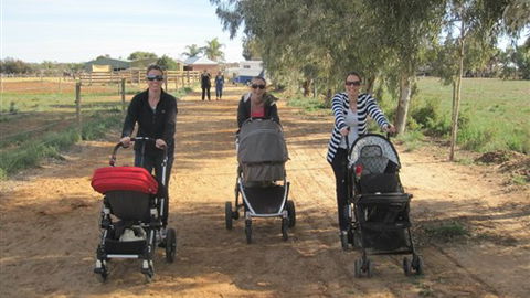 Cabarita Lodge - Darwin Holiday 3