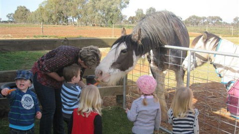 Cabarita Lodge - Darwin Holiday 4