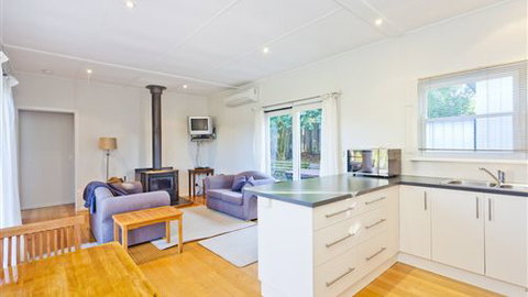 Otways Forrest Retreat - Darwin Holiday 1