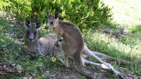The Escarpment - Darwin Holiday 6