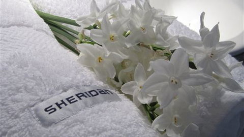 Maydays - Darwin Holiday 1