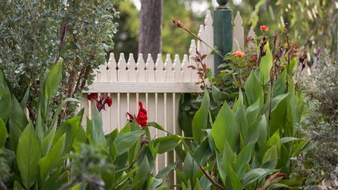 Muscat House - Darwin Holiday 6