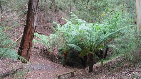 Muxy's Place - Darwin Holiday 1