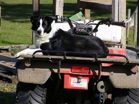 Breakaway Farmstay - Darwin Holiday 3