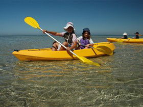 Ceduna Shelly Beach Caravan Park And Beachfront Villas - Darwin Holiday 3