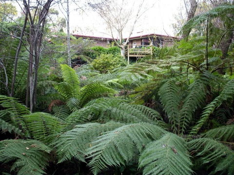 Adelaide Hills Bed & Breakfast Accommodation - Darwin Holiday 3